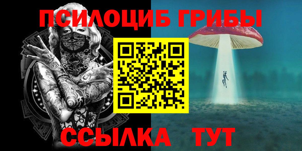 Галлюциногенные грибы Psilocybe Якутск